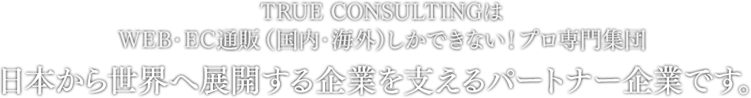 TRUE CONSULTINGはWEB・EC通販（国内・海外）しかできない！プロ専門集団　日本から世界へ展開する企業を支えるパートナー企業です。