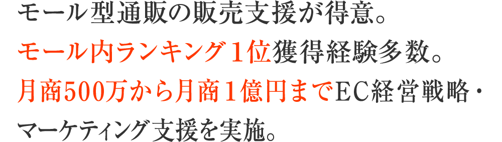 モール型通販の販売支援が得意。モール内ランキング１位獲得経験多数。月商500万から月商１億円までEC経営戦略・マーケティング支援を実施。