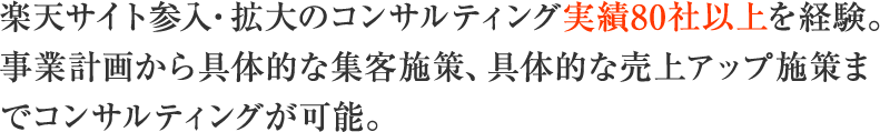 楽天サイト参入・拡大のコンサルティング実績80社以上を経験。事業計画から具体的な集客施策、具体的な売上アップ施策までコンサルティングが可能。