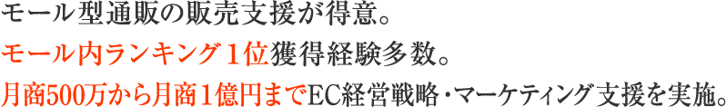 モール型通販の販売支援が得意。モール内ランキング１位獲得経験多数。月商500万から月商１億円までEC経営戦略・マーケティング支援を実施。