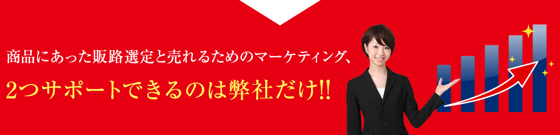 商品にあった販路選定と売れるためのマーケティング、2つサポートできるのは弊社だけ!!