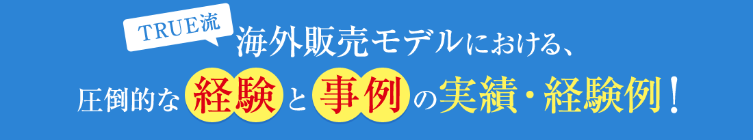 海外販売モデルにおける、圧倒的な 経験 と事例 の実績・経験例!