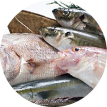 鮮魚･鮮魚加工