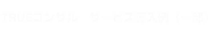 TRUEコンサル サービス導入例（一部）