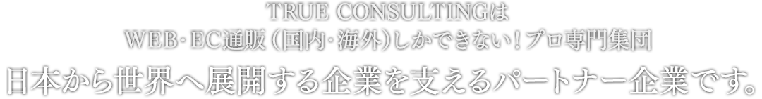 TRUE CONSULTINGはWEB・EC通販（国内・海外）しかできない！プロ専門集団日本から世界へ展開する企業を支えるパートナー企業です。