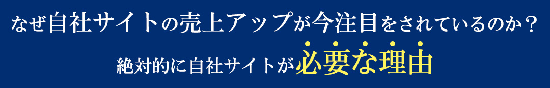 なぜ自社サイトの売上アップが今注目をされているのか？絶対的に自社サイトが必要な理由