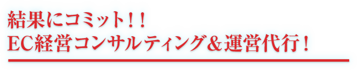 結果にコミット！！EC経営コンサルティング＆運営代行！