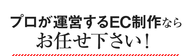 プロが運営するEC制作ならお任せ下さい！