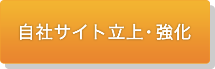 自社サイト立上・強化