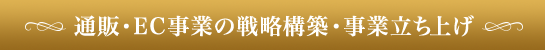 通販・EC事業の戦略構築・事業立ち上げ