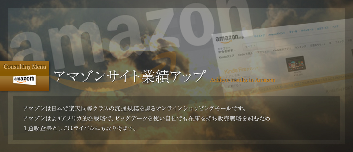 アマゾンの業績アップに強いコンサルティング・運営代行ならトゥルーコンサルティング