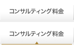 nav/コンサルティング料金